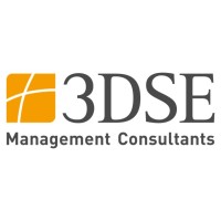 3DSE Management Consultants GmbH