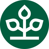 AOK PLUS