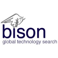 Bison Global Technology Search
