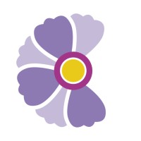 Cosmea Pflege