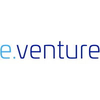 e.venture consulting