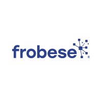 frobese GmbH Informatikservices