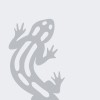 Salamander myWindow