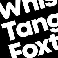 Whiskey Tango Foxtrot GmbH